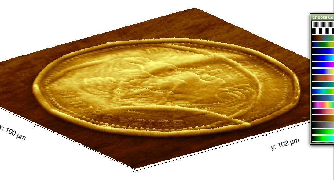 Loonie-Error?