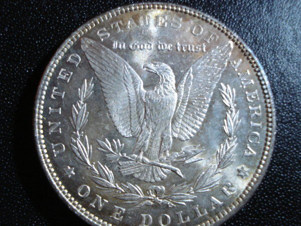 1882-Morgan-Opinion