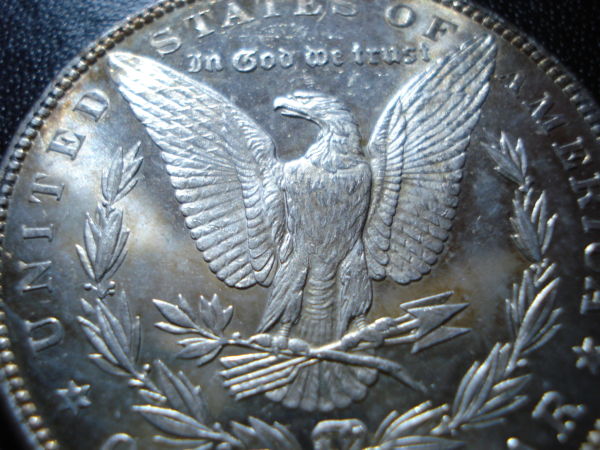 1882-Morgan-Opinion
