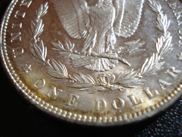 1882-Morgan-Opinion
