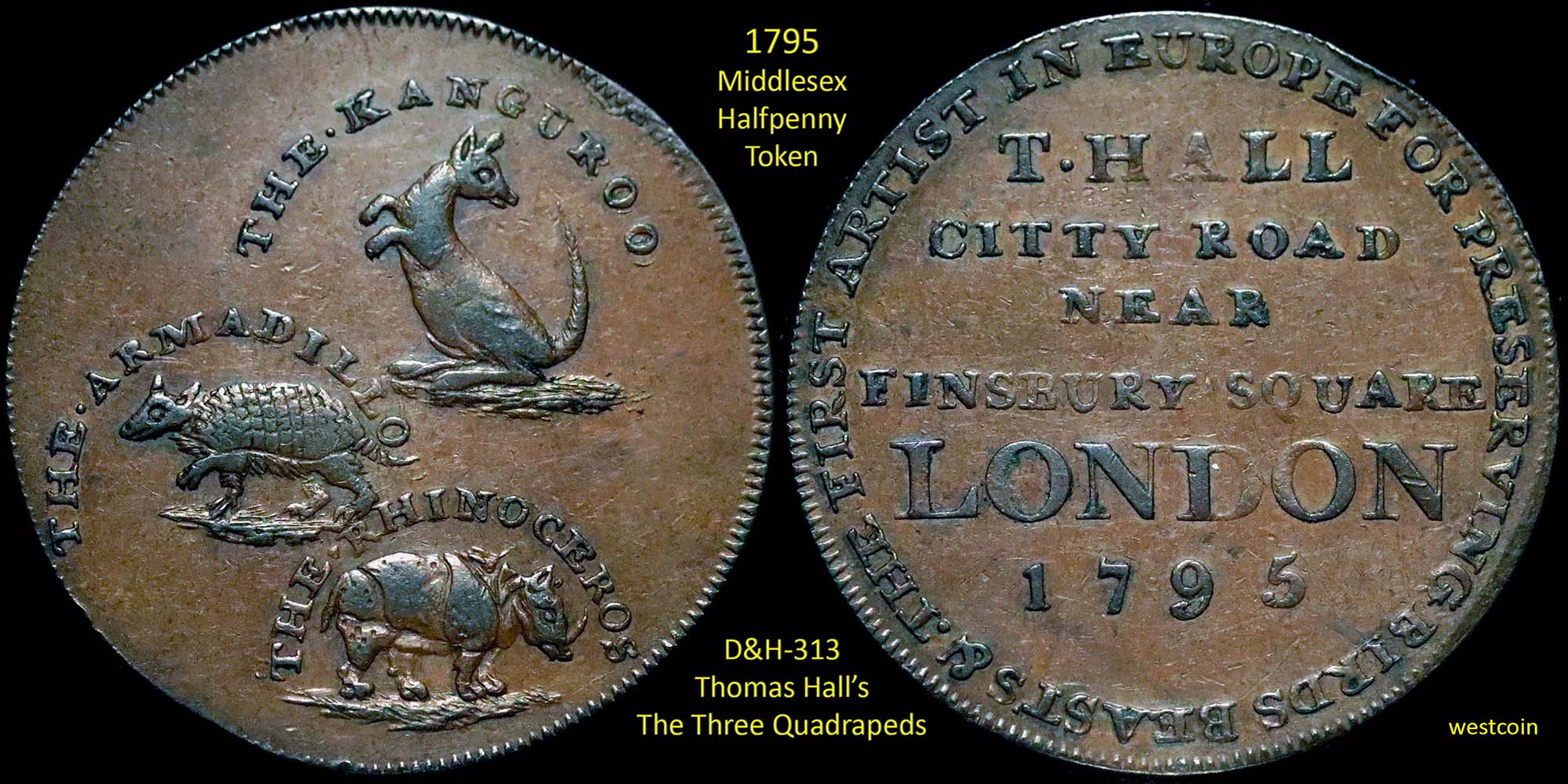 Post-Your-Coins-Representing-The-Animal-Kingdom.