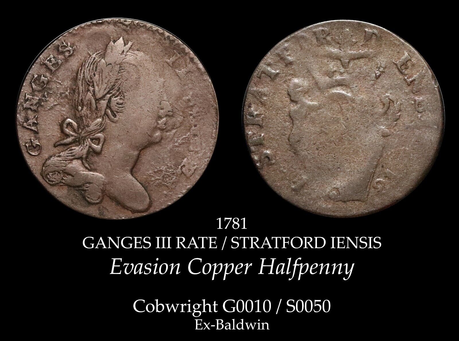 Anyone-Know-This-Evasion-Copper