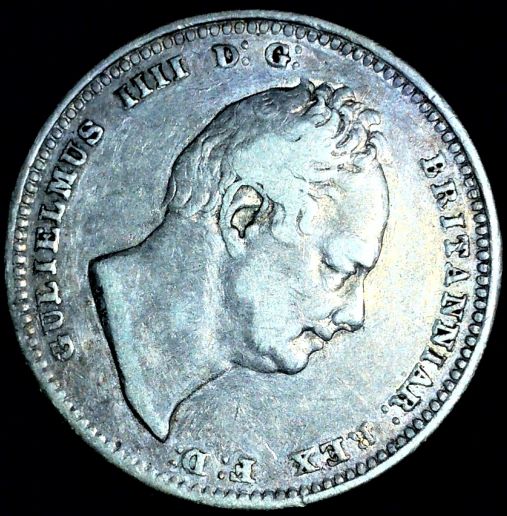 Opinions-Please-On-This-1836-Shilling