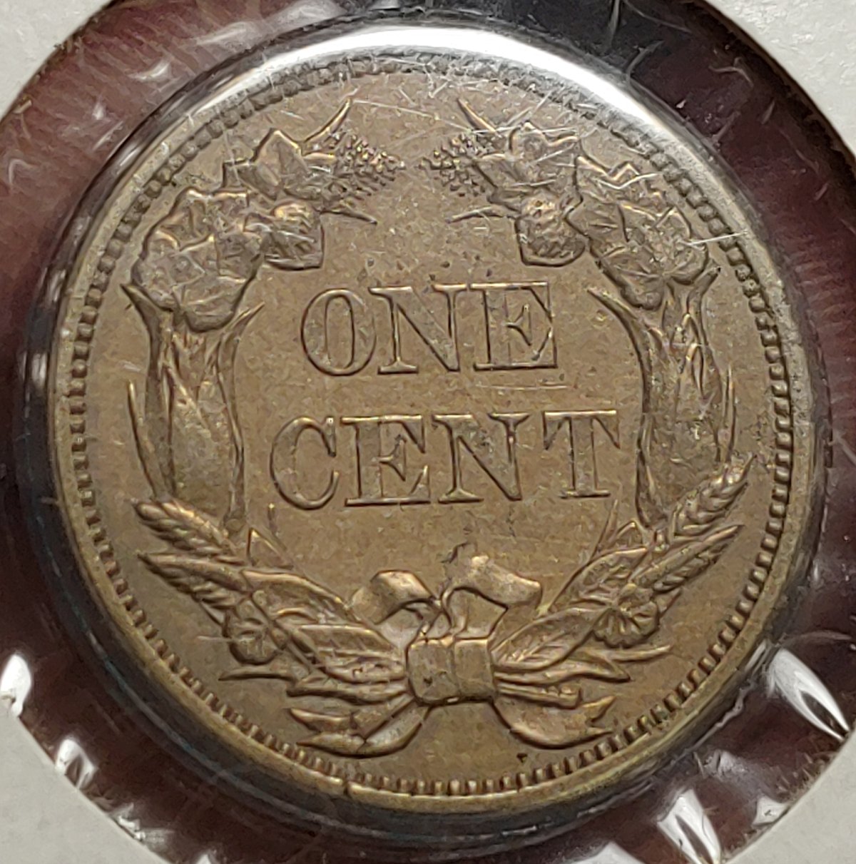 Possible-1856-Flying-Eagle-Cent?-Update:-5/11/22-PCGS-Results-Are-In!