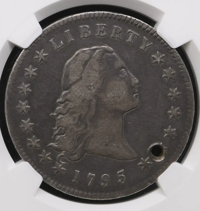 Just-Arrived-From-NGC---1795-Flowing-Hair-Dollar