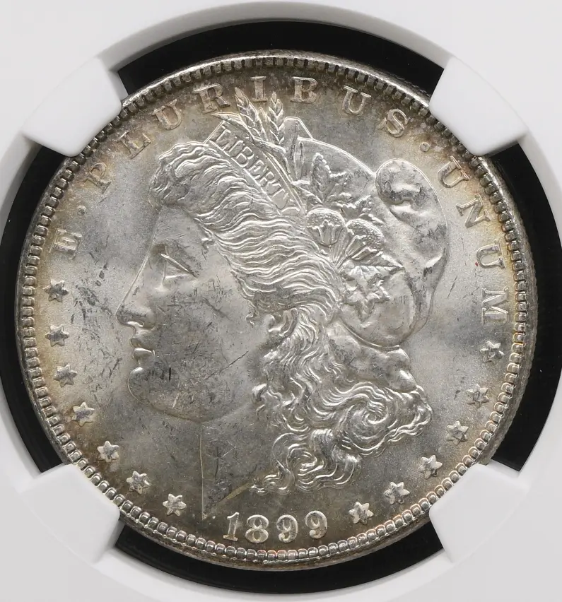 Just-Arrived-From-NGC---1899-P-Morgan-Dollar