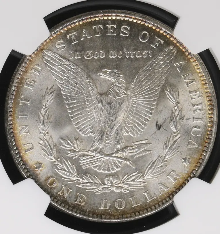 Just-Arrived-From-NGC---1899-P-Morgan-Dollar