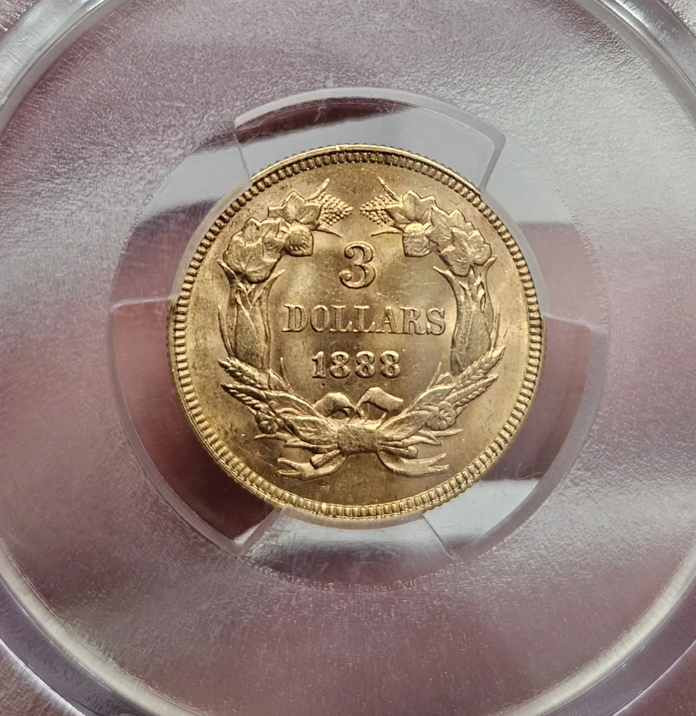 You-Vs-PCGS---1888-$3-Gold