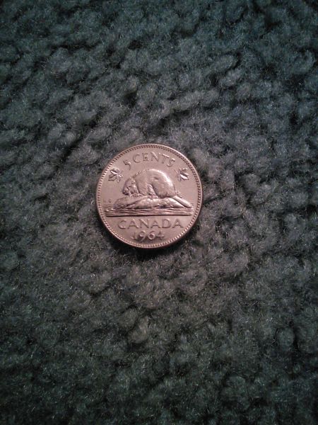 Interesting-Find-From-Circulation