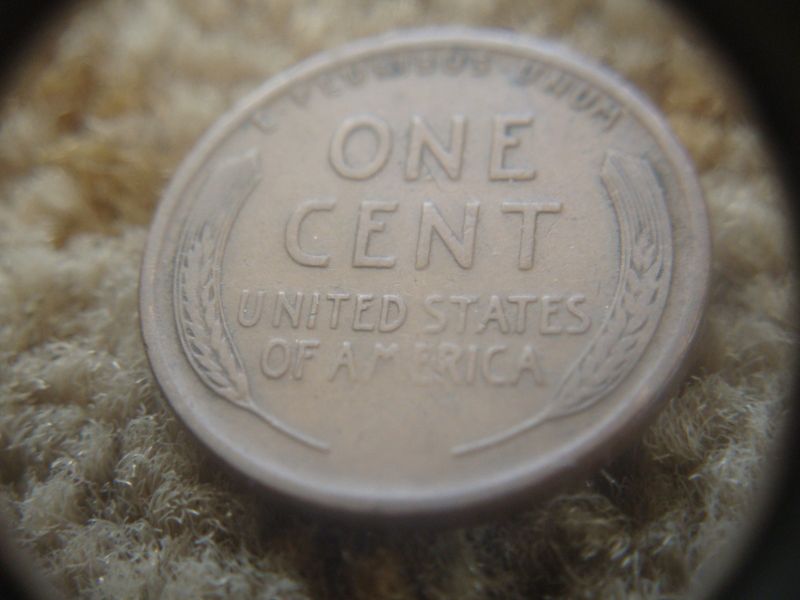 1925-D-Wheat-For-Grading
