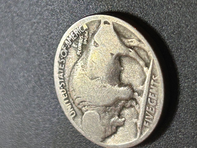 Buffalo-Nickel-Date-Identification