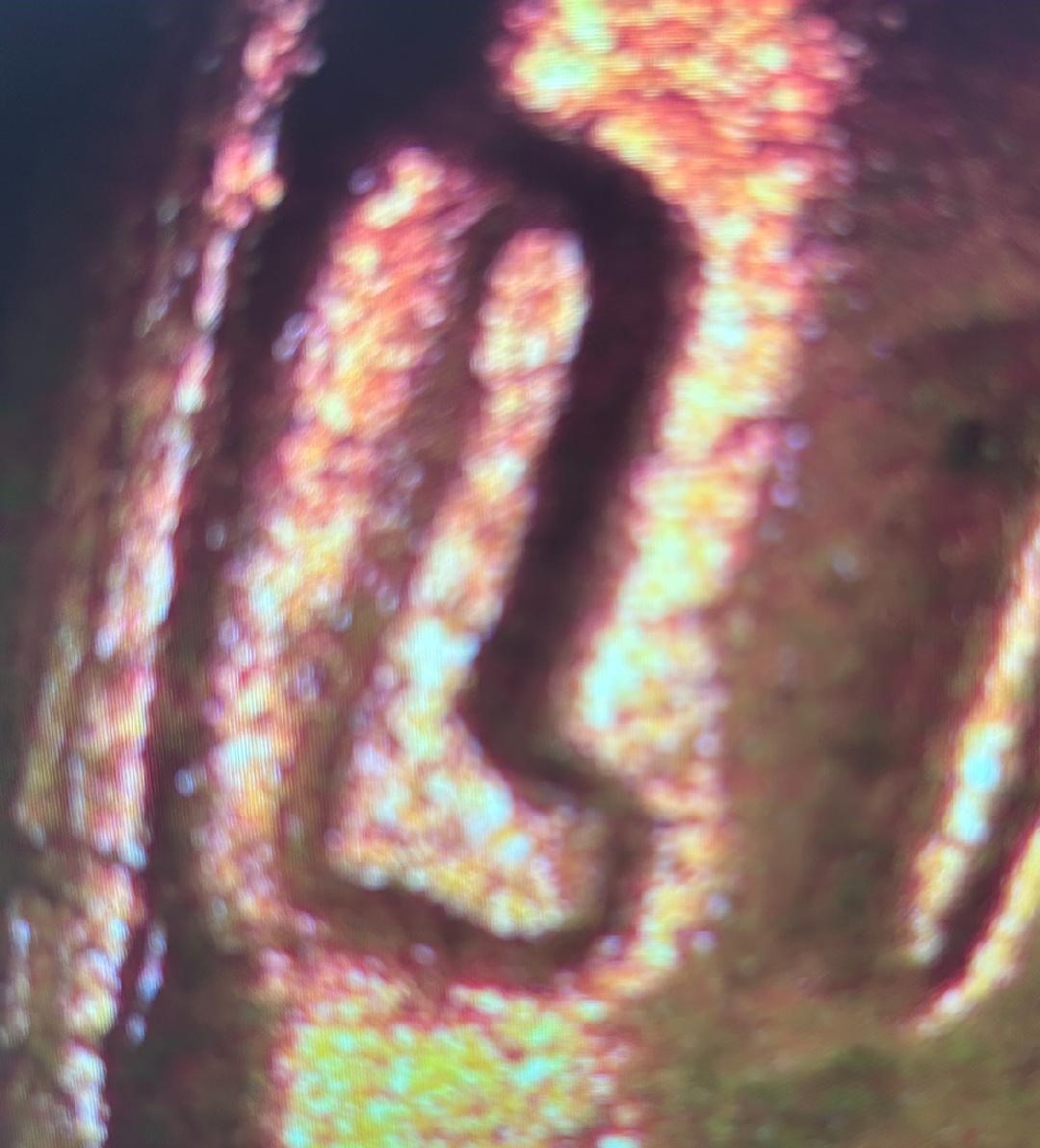 1963-Penny-Possible-DDO