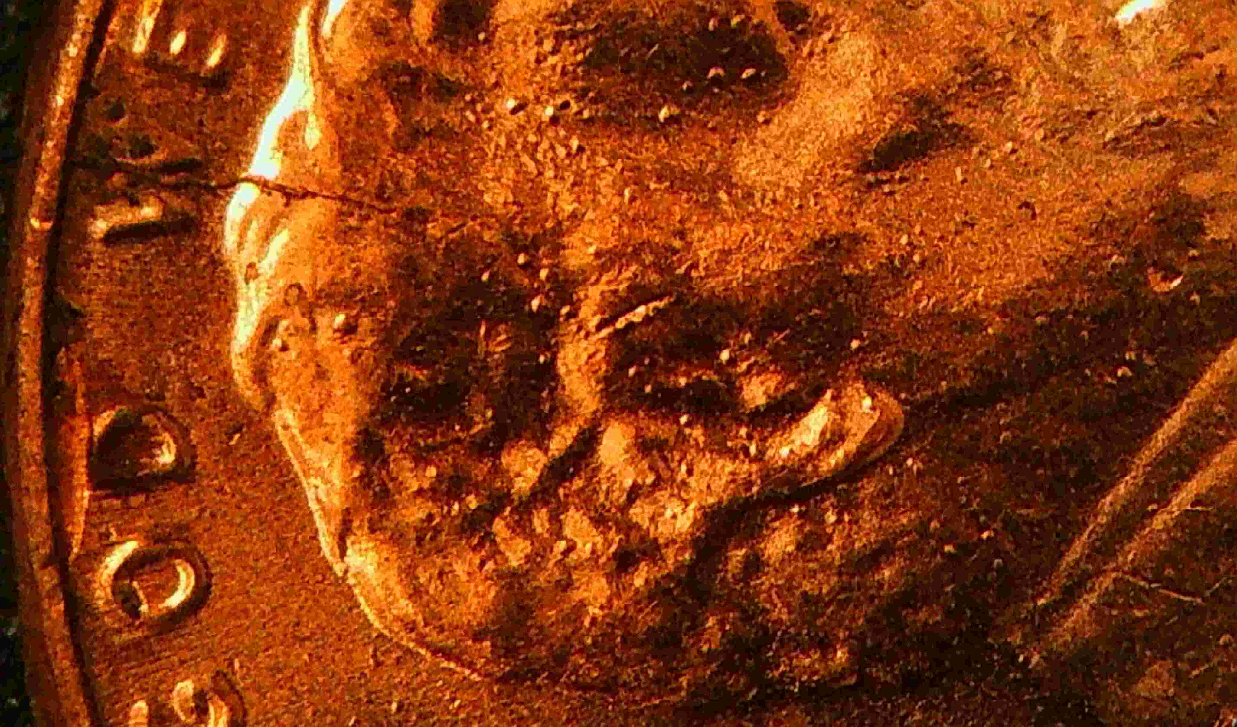 2023-P-Lincoln-Shield-Cent-Cud-And-Doubling?-DDO-Ear-Eye-IGWT-Date