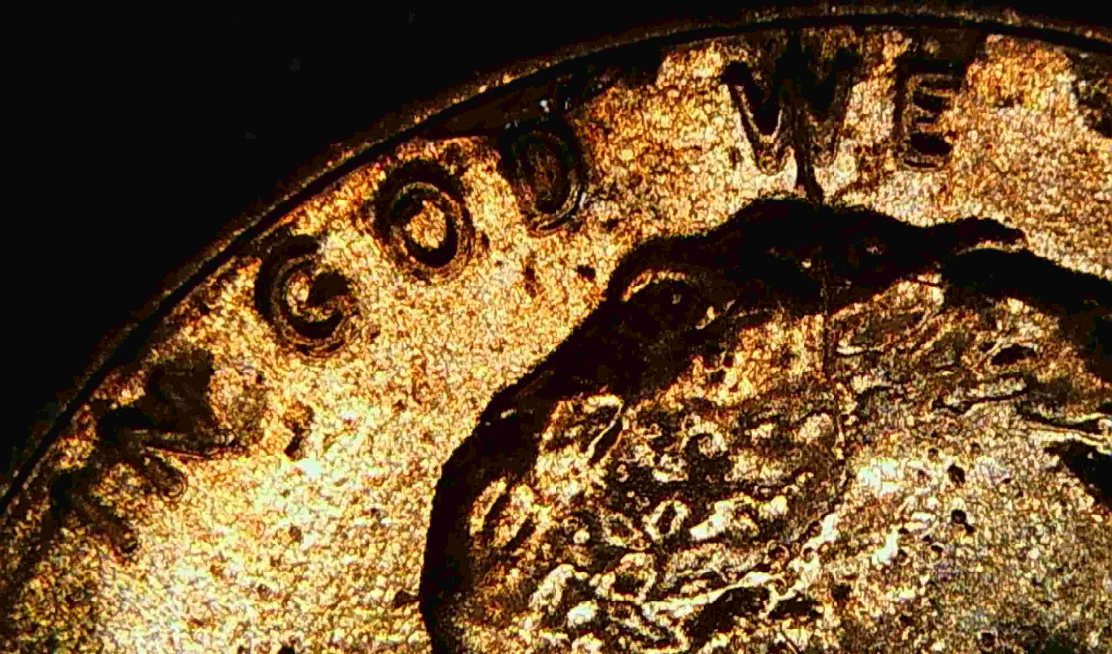 2023-P-Lincoln-Shield-Cent-Cud-And-Doubling?-DDO-Ear-Eye-IGWT-Date