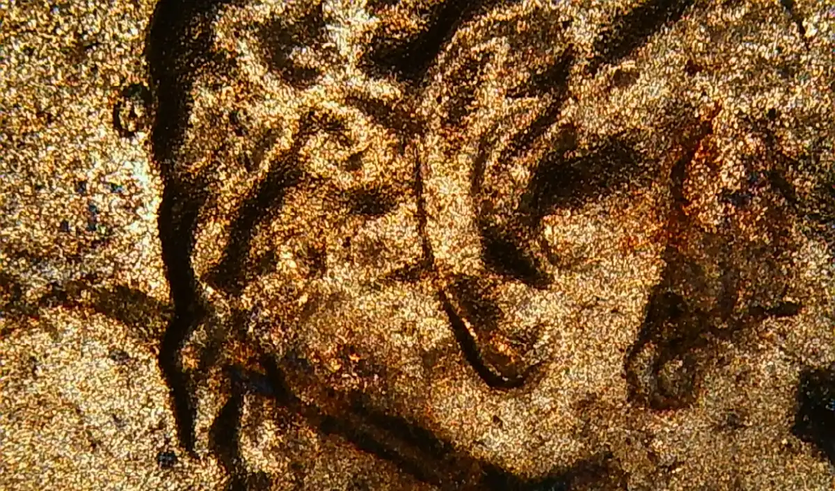 2022-P-Lincoln-Shield-Cent-Strikethrough,-Clashing,-Or-Die-Break-Or-Nada