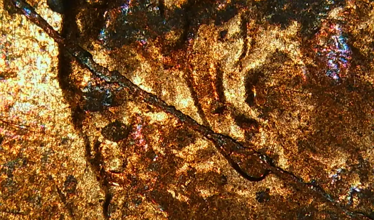 2015-P-Lincoln-Shield-Cent-Obverse-Bisecting-Rim-To-Rim-Die-Crack