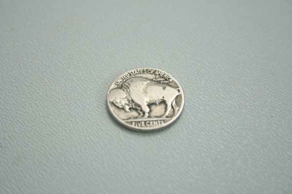 What-Type-Of-Buffalo-Nickel-Is-This?