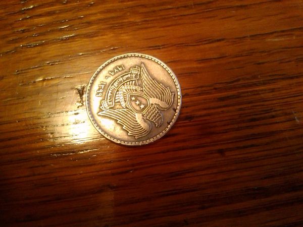 Please-Help-Identify