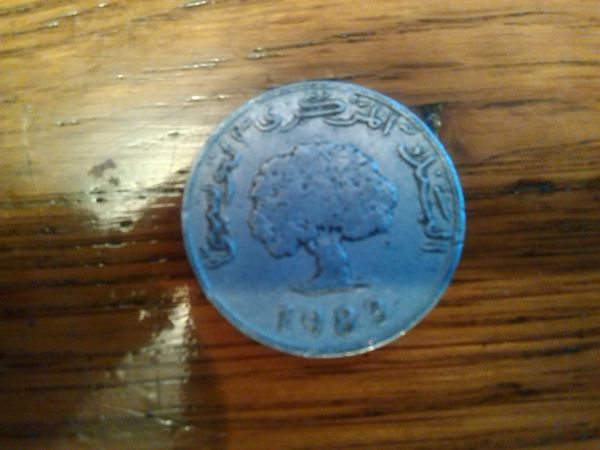Please-Help-Identify