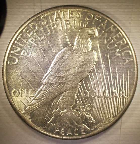 1928-Peace-Dollar-For-Grading