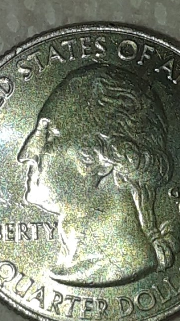 Please-I-Would-Like-Your-Opinion.-2005-Quarter
