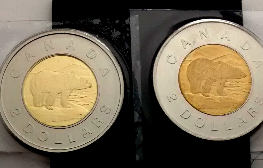 Beginner-Collecting-Circulation-Coins