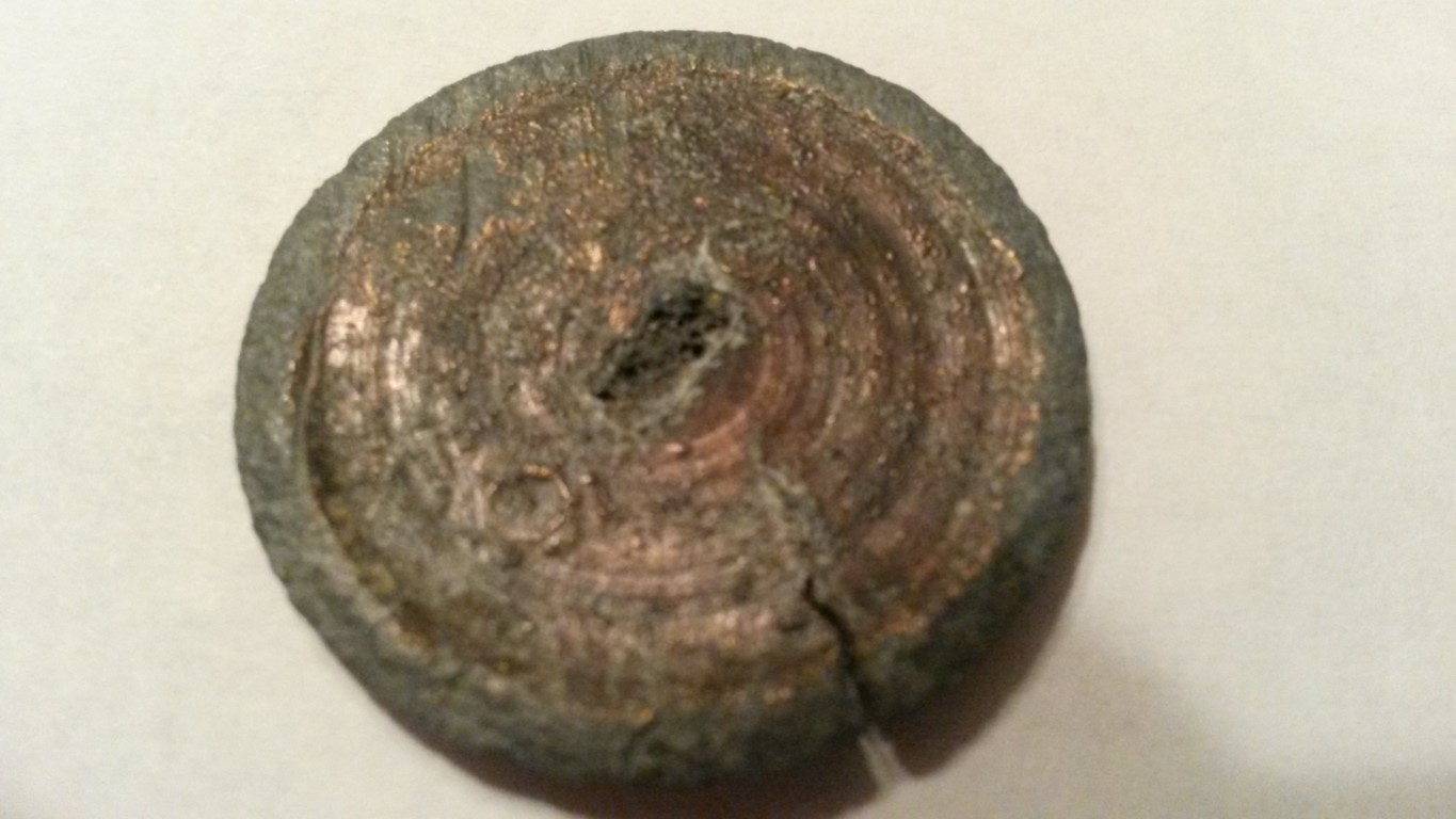 Need-Help-To-Identify