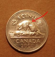 2000-Nickel-With-Metal-On-Beaver's-Back