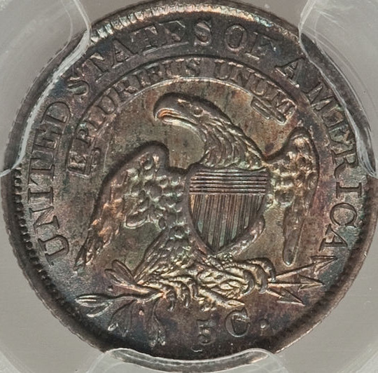 Is-This-Pleasing-Toning?