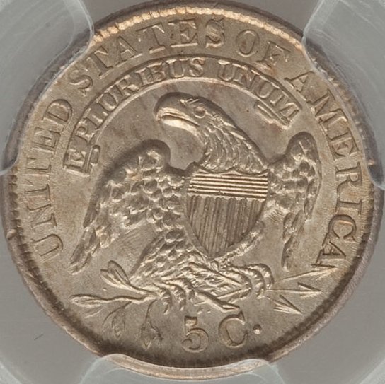 Is-This-Pleasing-Toning?