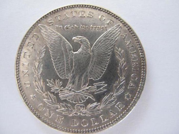 Morgans-Real-Or-Fake?
