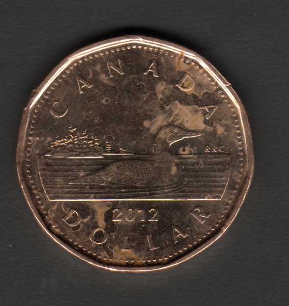 Canadian-Roll-Hunting