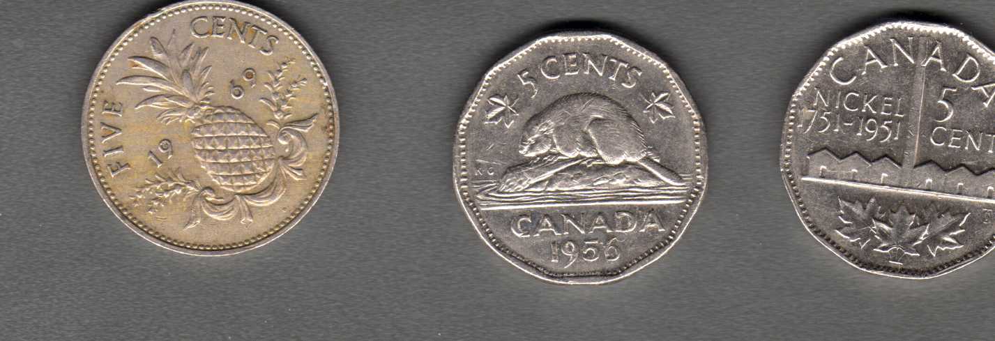 Canadian-Roll-Hunting