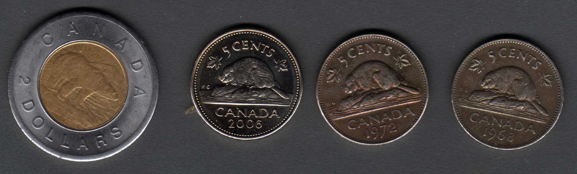 Canadian-Roll-Hunting