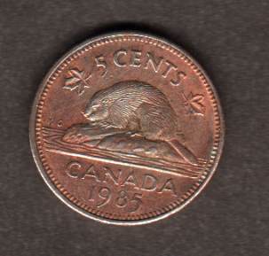 Canadian-Roll-Hunting