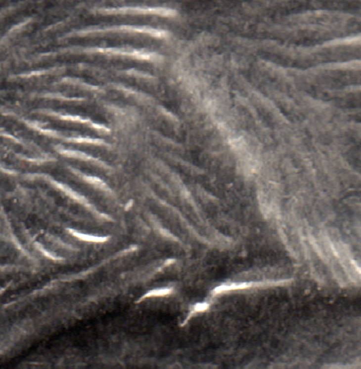 2001-Nickel;-Does-This-Count-As-Bare-Belly?