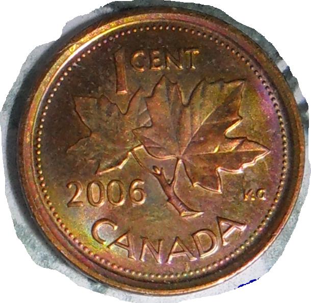 Canadian-Roll-Hunting