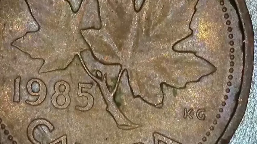 Penny-And-Nickel-Customer--Wrapped-Rolls