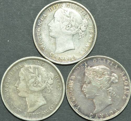 Please-Help-To-Confirm-The-Type-Of-Leaves-On-A-Coin