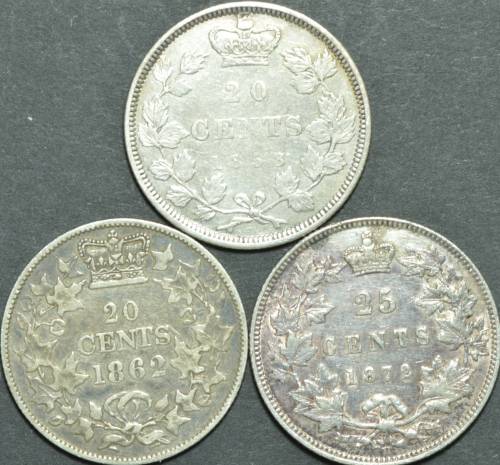 Please-Help-To-Confirm-The-Type-Of-Leaves-On-A-Coin