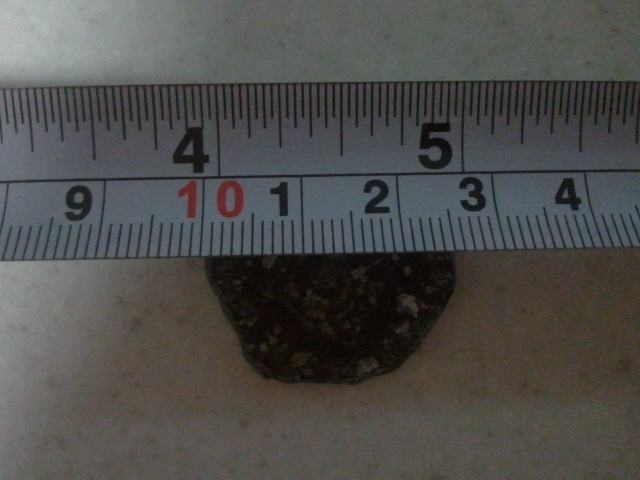 Medallion-Or-Coin-?