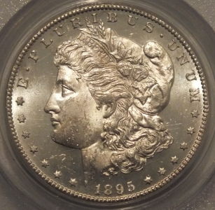 I-Would-Really-Like-Everyone's-Opinion-1895-S-PCGS-MS-64-Morg