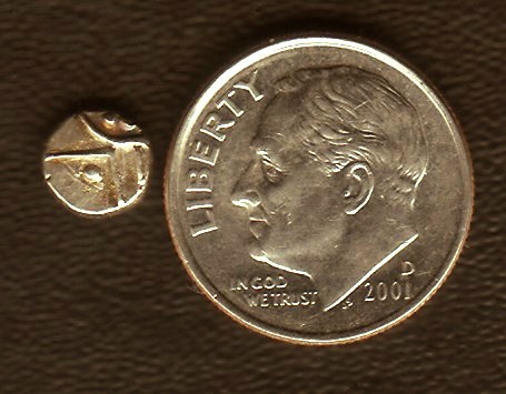Now-Let's-See-The-Smallest-Coin-You-Have!