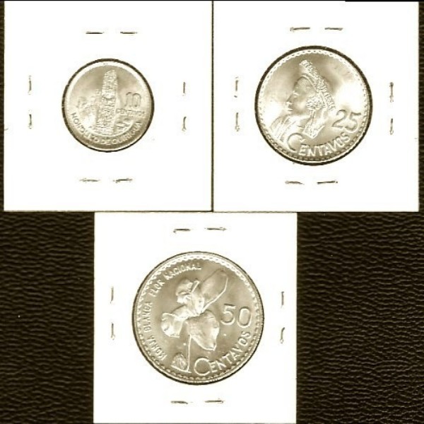 166-Days-Of-Yakko's-World-Coins