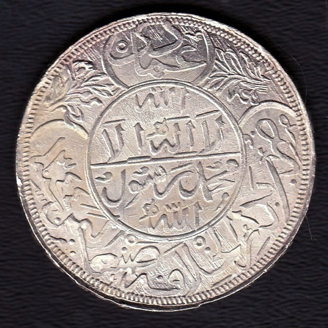 166-Days-Of-Yakko's-World-Coins