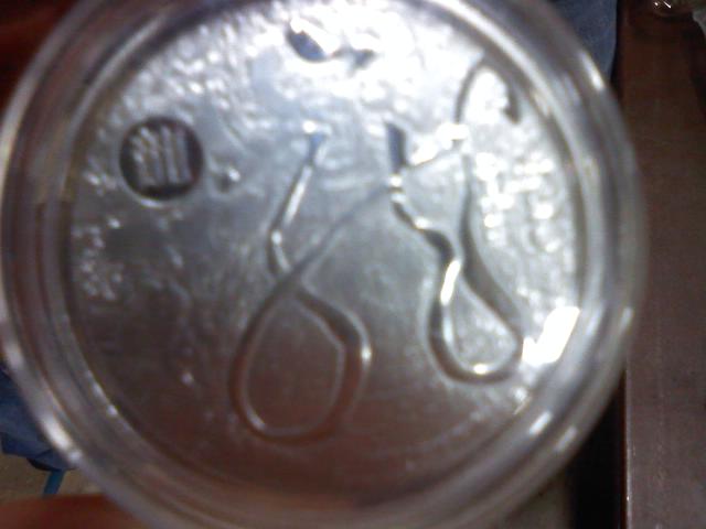 Help-Identifying-This-Coin-Please