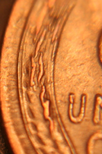 1954-Wheat---Doubling,-Die-Crack,-Or-Cud???