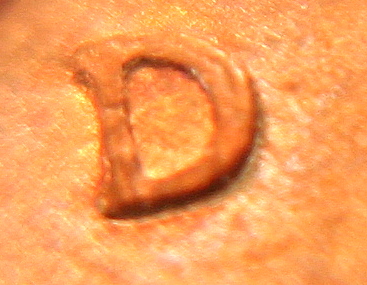 1988-D/DNew-Pics