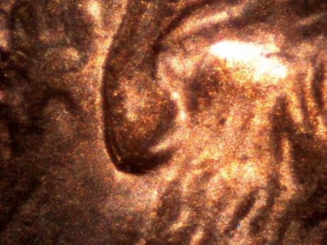 1997-Double-Ear?