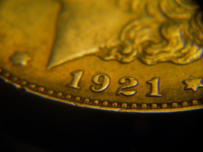 Help-With-1921-Morgan